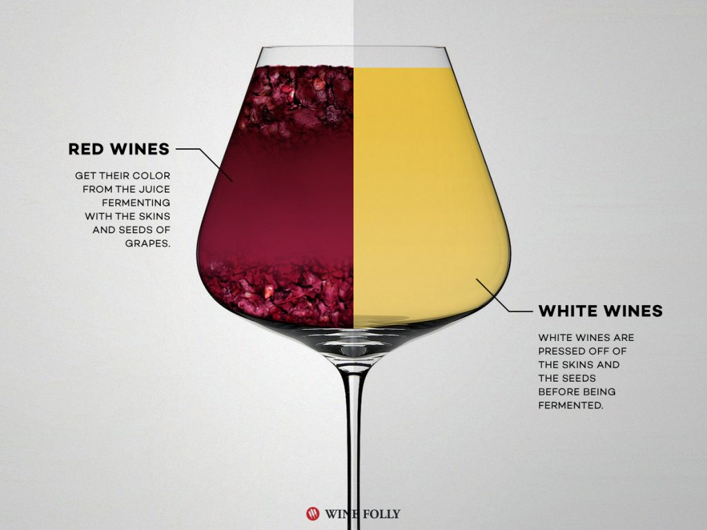 ไวน์ขาว แตกต่าง ไวน์แดง